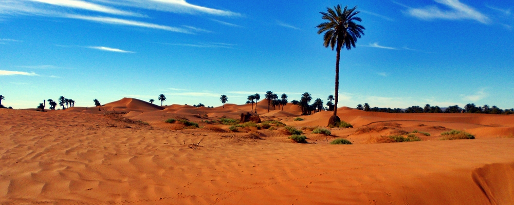 Trek Désert Maroc voyage sud aventure